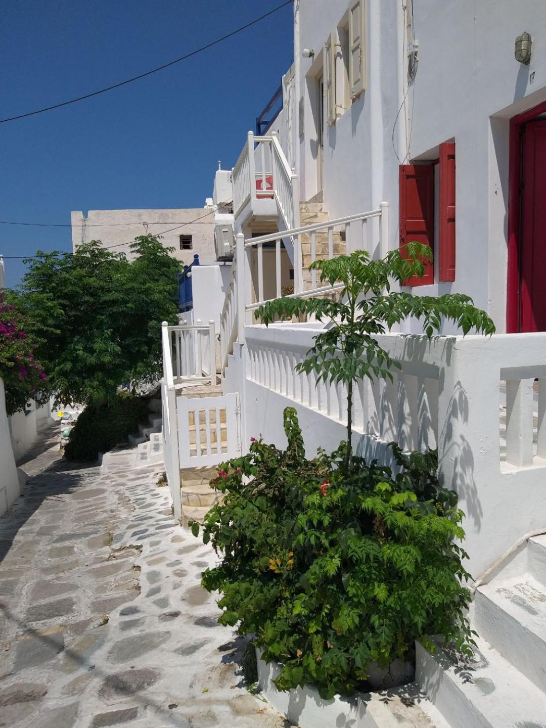 Mykonos Town Alex Oldtown Sea View Rooms And Appartments מראה חיצוני תמונה