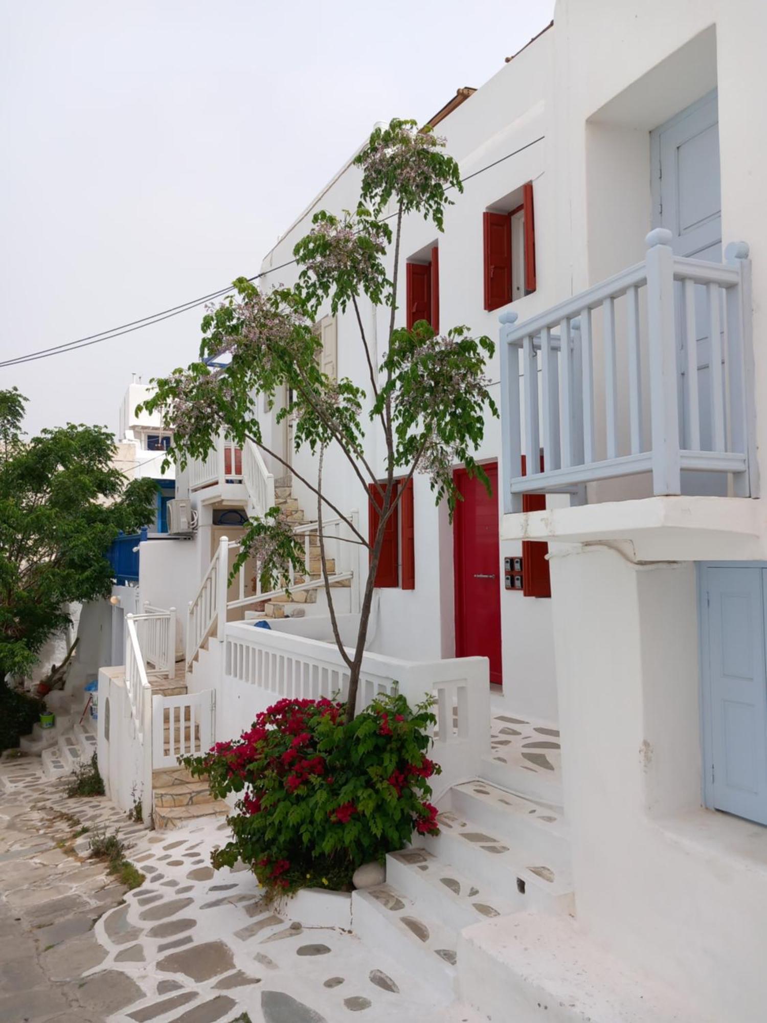 Mykonos Town Alex Oldtown Sea View Rooms And Appartments מראה חיצוני תמונה