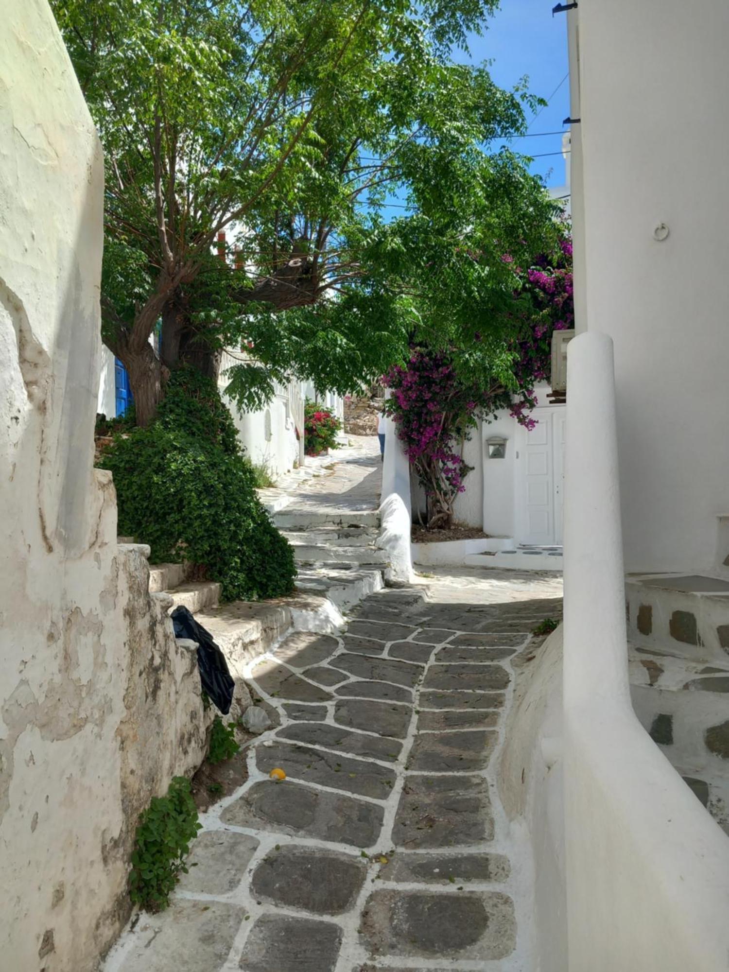 Mykonos Town Alex Oldtown Sea View Rooms And Appartments חדר תמונה