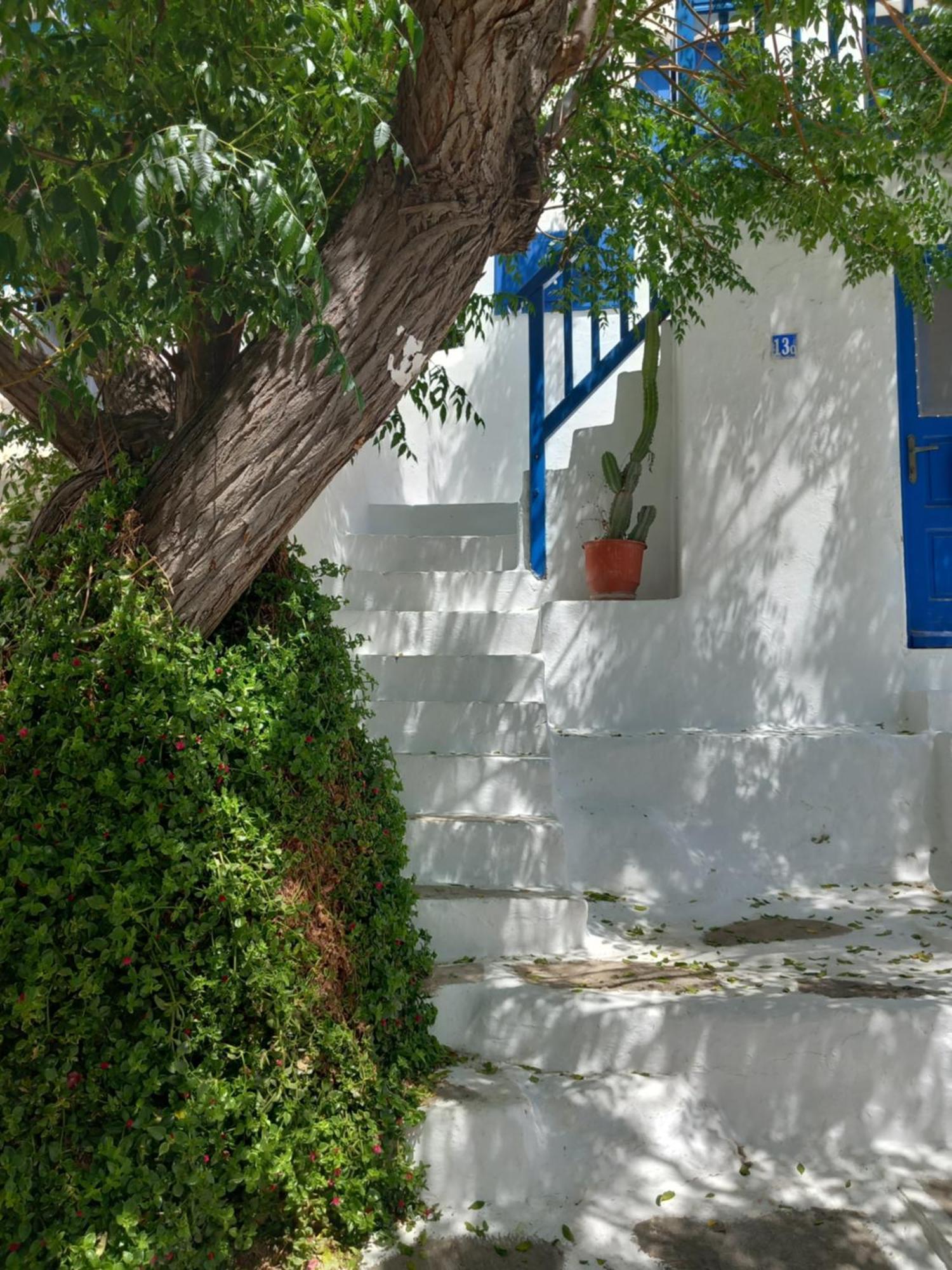 Mykonos Town Alex Oldtown Sea View Rooms And Appartments חדר תמונה